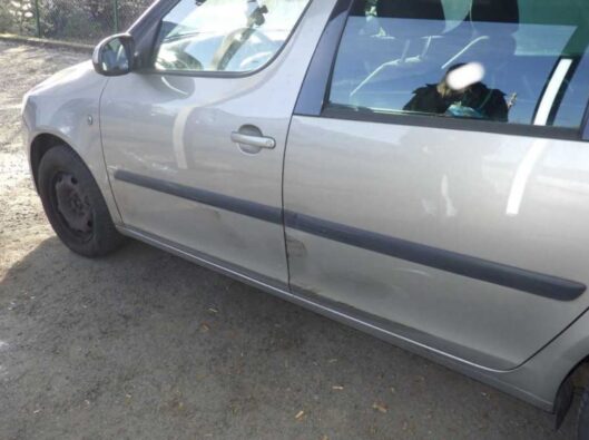 2025-12-22 17_40_04-SPEEDonline 2.16.49.0 — Mozilla Firefox