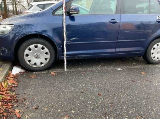 2026-01-13 18_06_29-SPEEDonline 2.16.49.0 — Mozilla Firefox