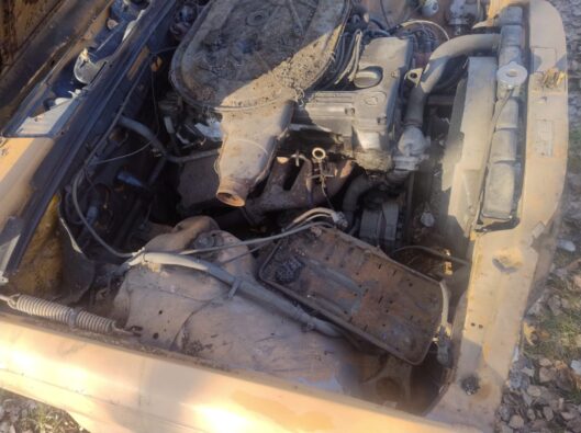 IMG-20260310-WA0001
