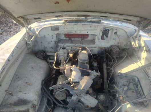 IMG-20260310-WA0009
